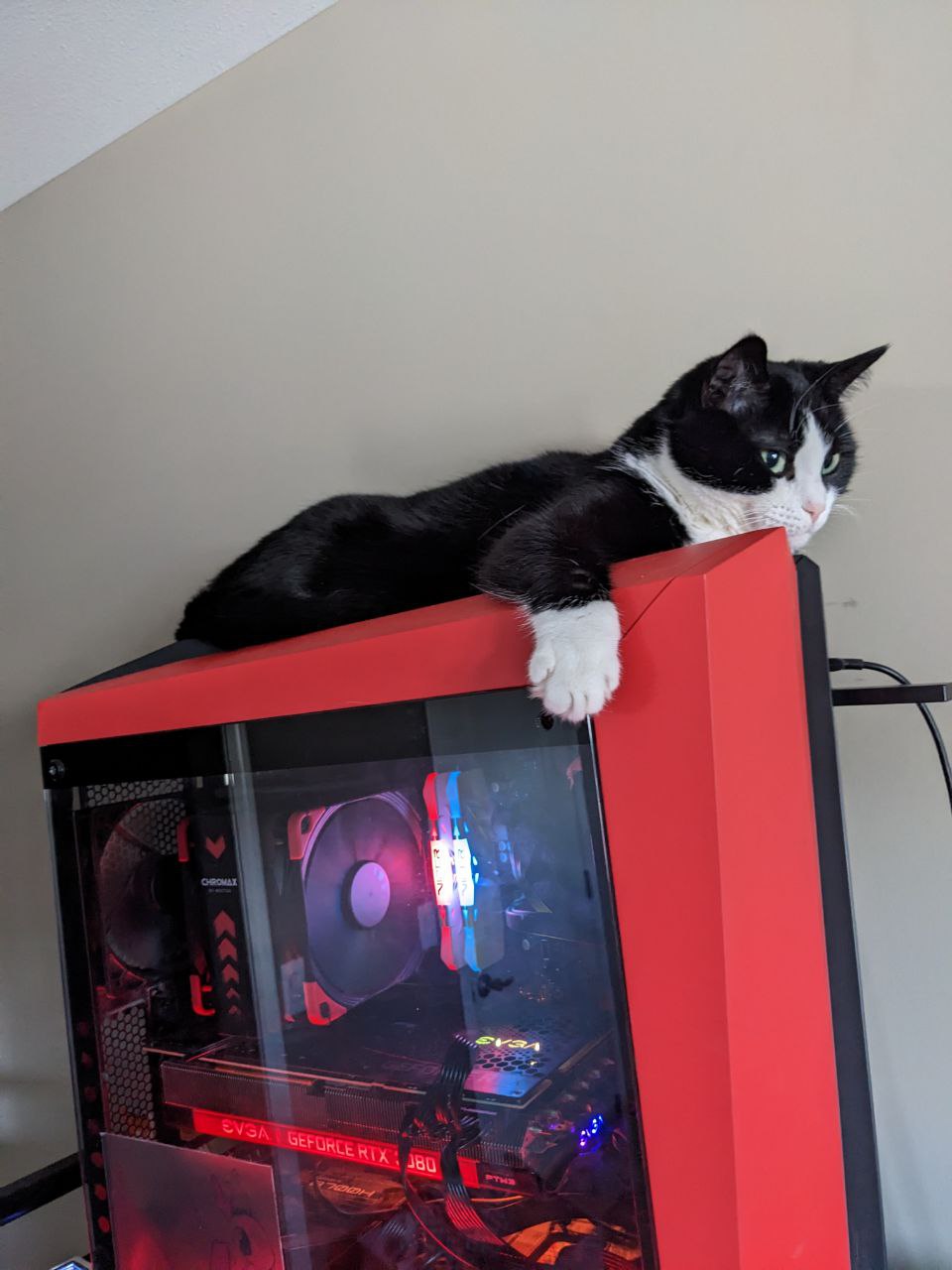 Mona is lounging on top of a computer case.